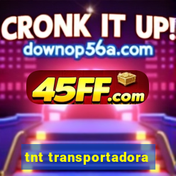 tnt transportadora
